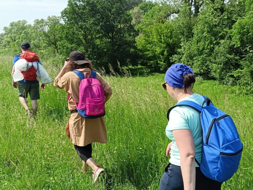 Trzy osoby z plecakami wędrują przez wysoką zieloną trawę w słoneczny dzień. Jedna osoba ma na sobie brązowy płaszcz i różowy plecak, druga nosi niebieską koszulę i niebieską chustę, a trzecia prowadzi z czerwonym plecakiem. Otaczają ich bujne drzewa i zieleń.